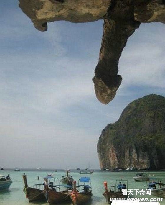 是我们想的太龌龊还是大自然太神奇